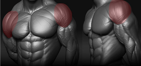 best-shoulder-exercises